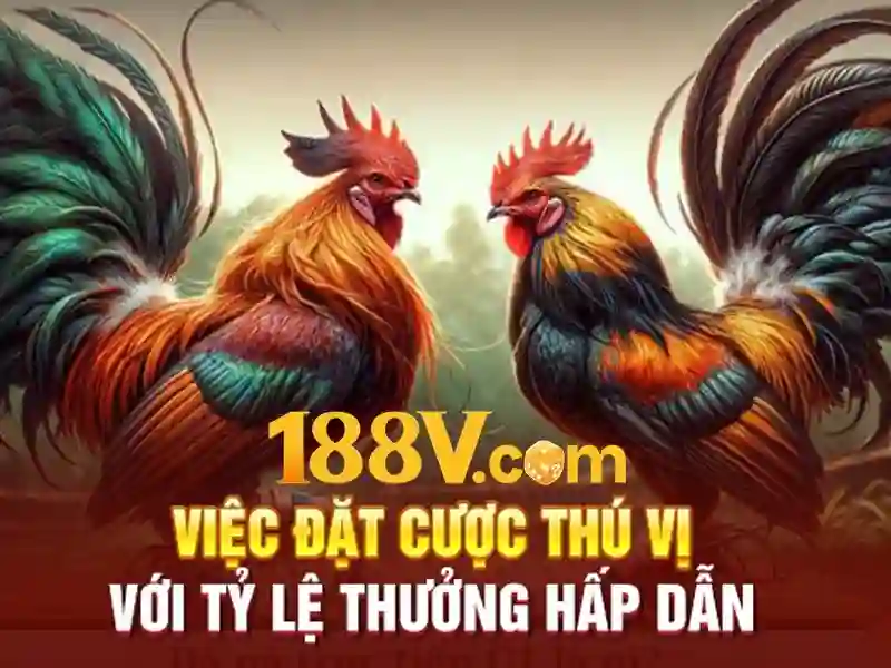 Tiến hóa của hệ thống 188V Tiến hóa của hệ thống 188V