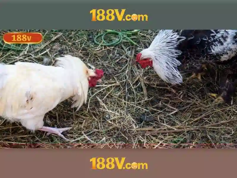 Phân tích công nghệ đằng sau 188v