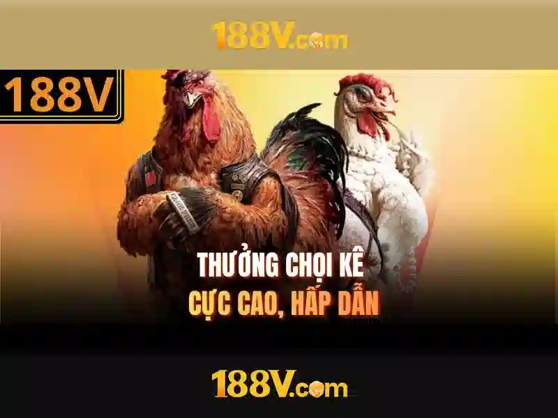 Hiểu 188v qua lịch sử dữ liệu