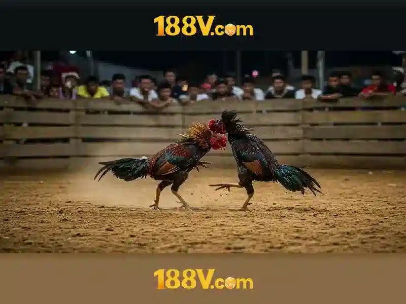 Bull Bull trực tuyến