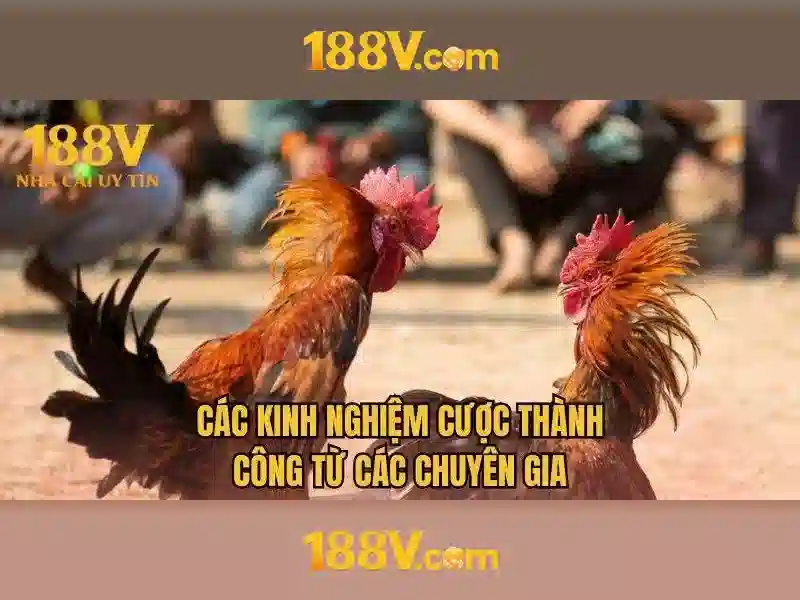Năng lượng và âm thanh Năng lượng và âm thanh