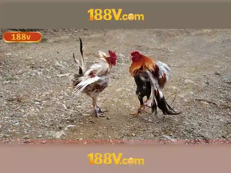 Vật thể và cảnh quan của 188v Vật thể và cảnh quan của 188v