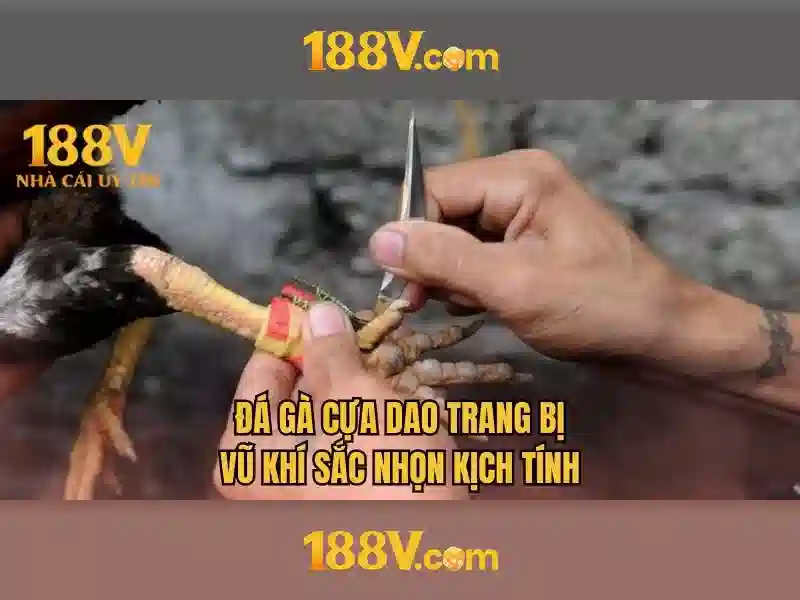 Xác thực tên miền 188v - khách hàng VIP