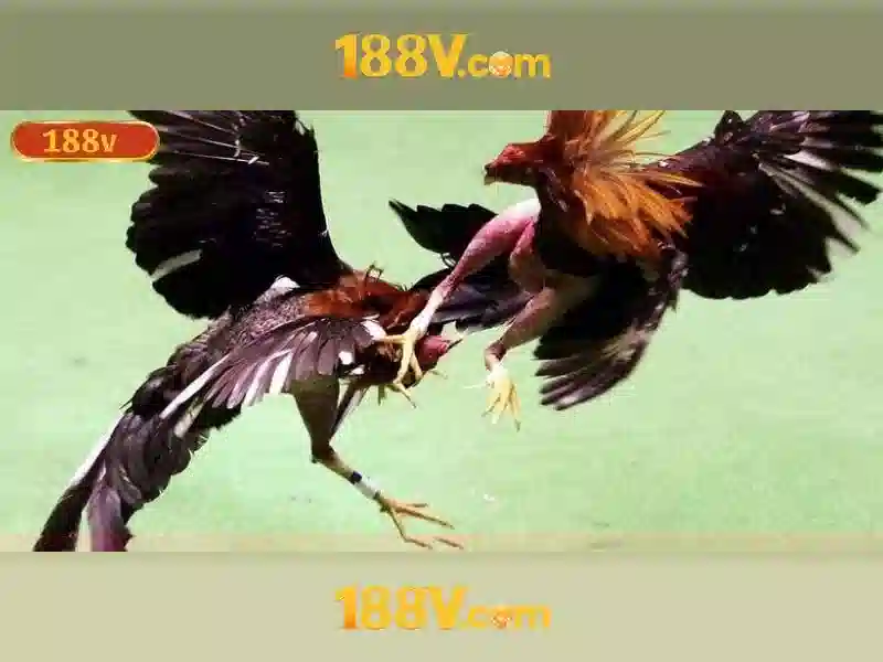 Phương pháp áp dụng Phương pháp áp dụng
