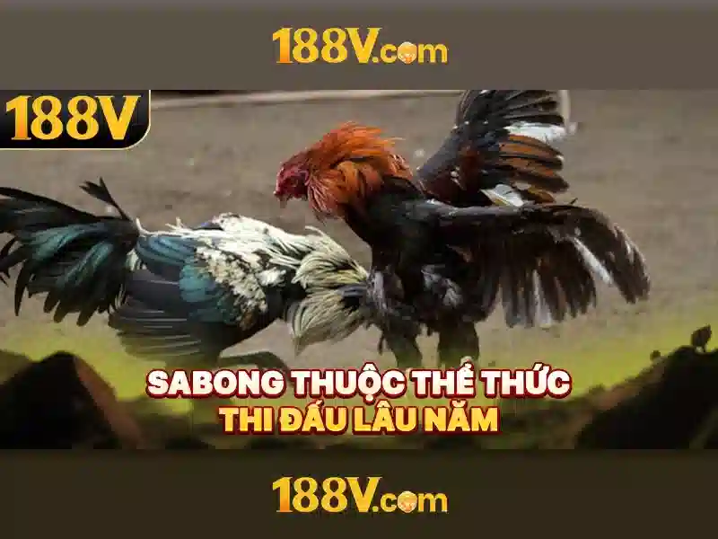 Giới thiệu về 188v
