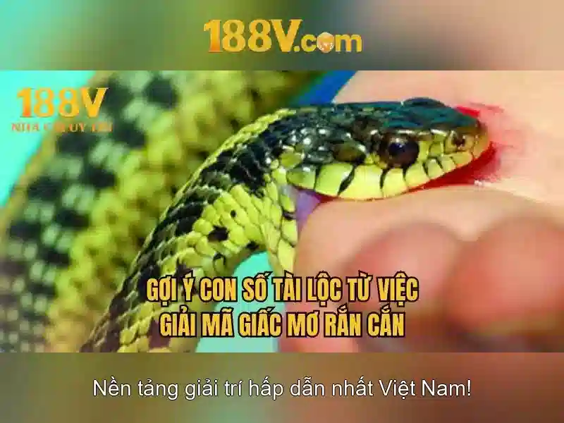 Bull Bull trực tuyến