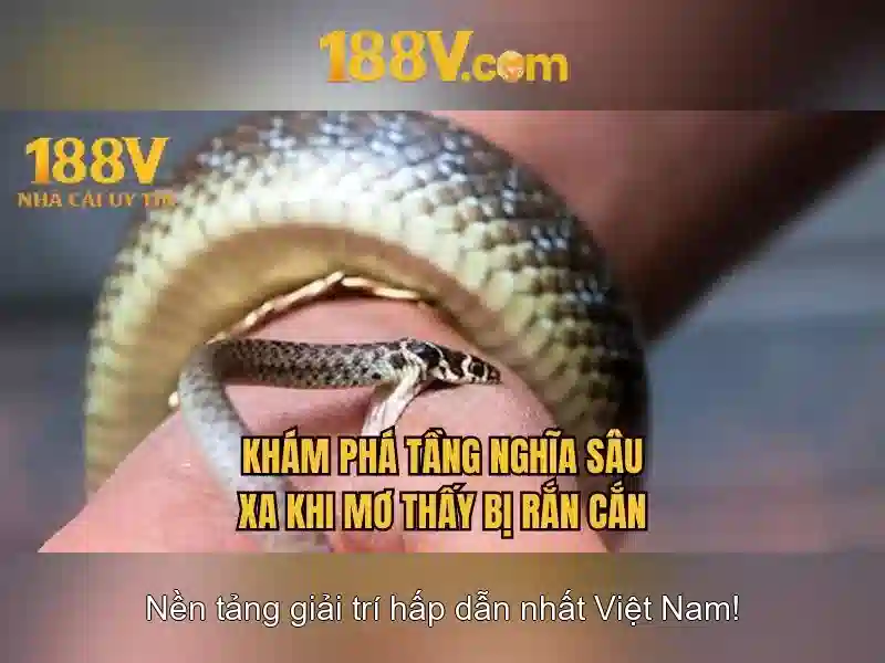Việt Vị Trong Bóng Đá