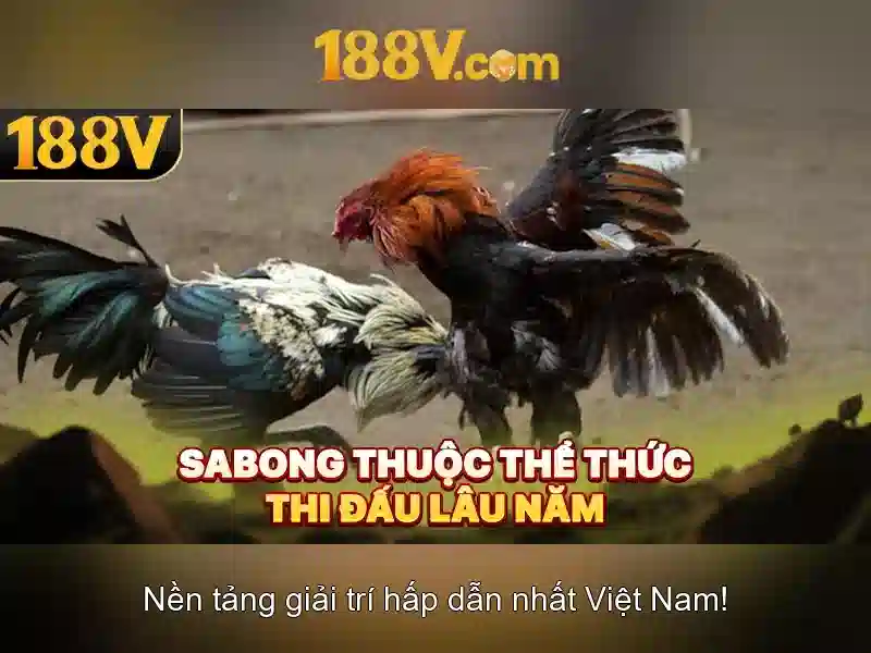 Việt Vị Trong Bóng Đá
