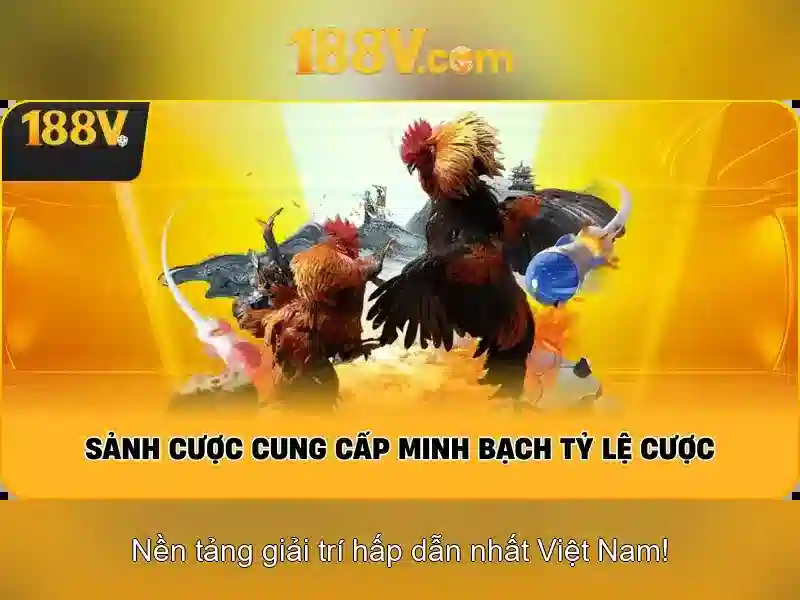 Bull Bull trực tuyến