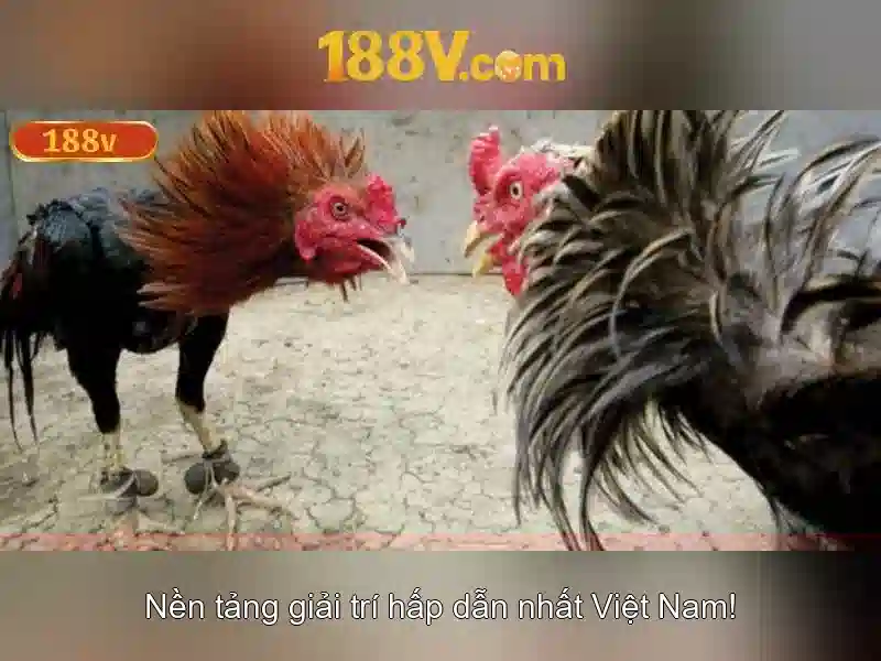 An toàn và lưu ý khi làm việc với điện áp 188V