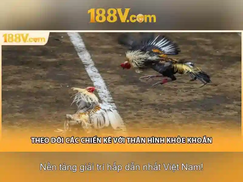 188v và sự hòa trộn giữa vật lý và dữ liệu 188v và sự hòa trộn giữa vật lý và dữ liệu