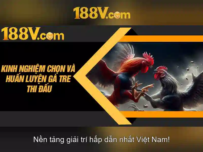 Lịch sử và nguồn gốc Lịch sử và nguồn gốc