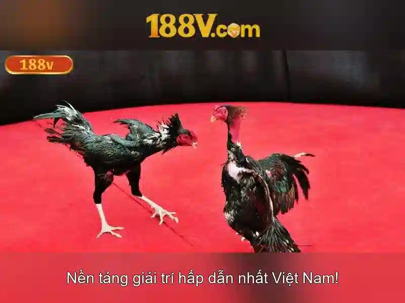 Việt Vị Trong Bóng Đá