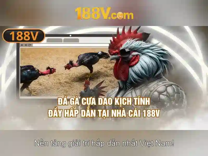 Ý nghĩa và hiện tại