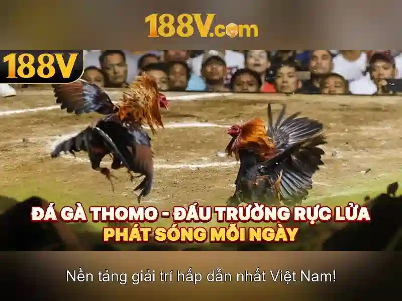 Ảnh hưởng đối với tư duy và sáng tạo Ảnh hưởng đối với tư duy và sáng tạo