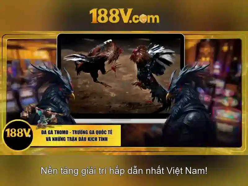 188v là một khái niệm trong công nghệ hiện đại 188v là một khái niệm trong công nghệ hiện đại