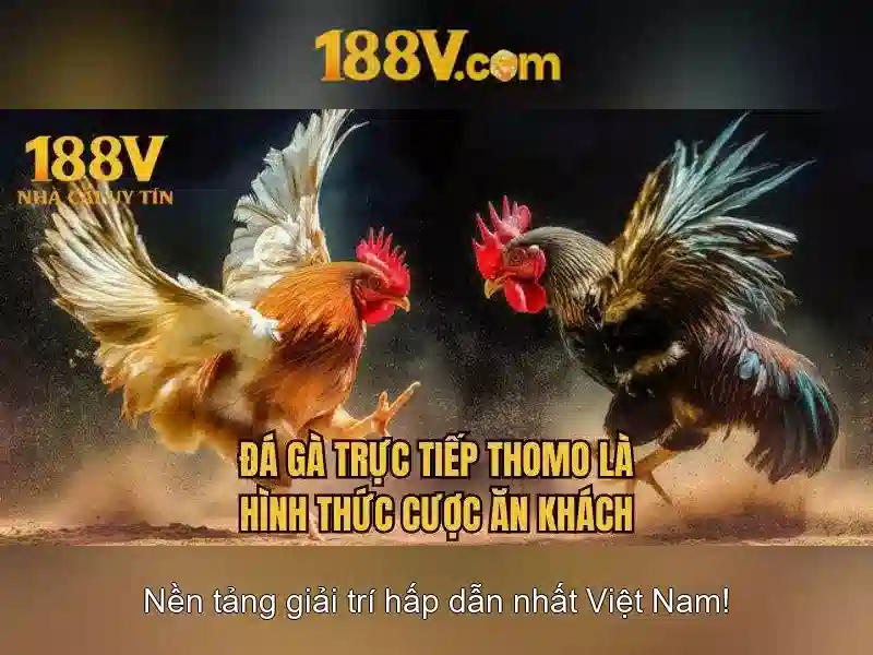 Việt Vị Trong Bóng Đá